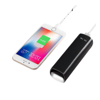 3 in 1 PowerBank